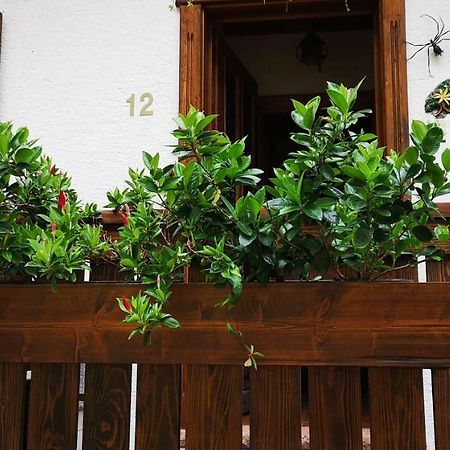 チェンチェニーゲ Casa Alpinaヴィラ エクステリア 写真