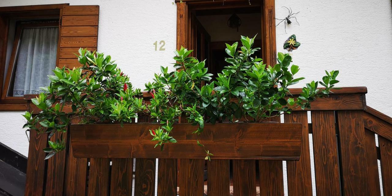 チェンチェニーゲ Casa Alpinaヴィラ エクステリア 写真